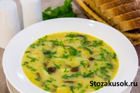 Суп с опятами и плавленым сыром.